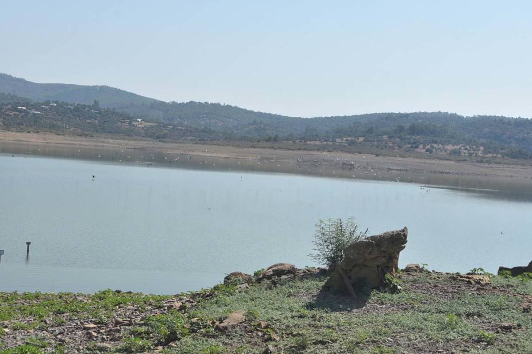 Ülkenin dört yanı diken üstünde! Felaket, Bodrum'a sıçradı: Musluk suyuna bulaşmış 11